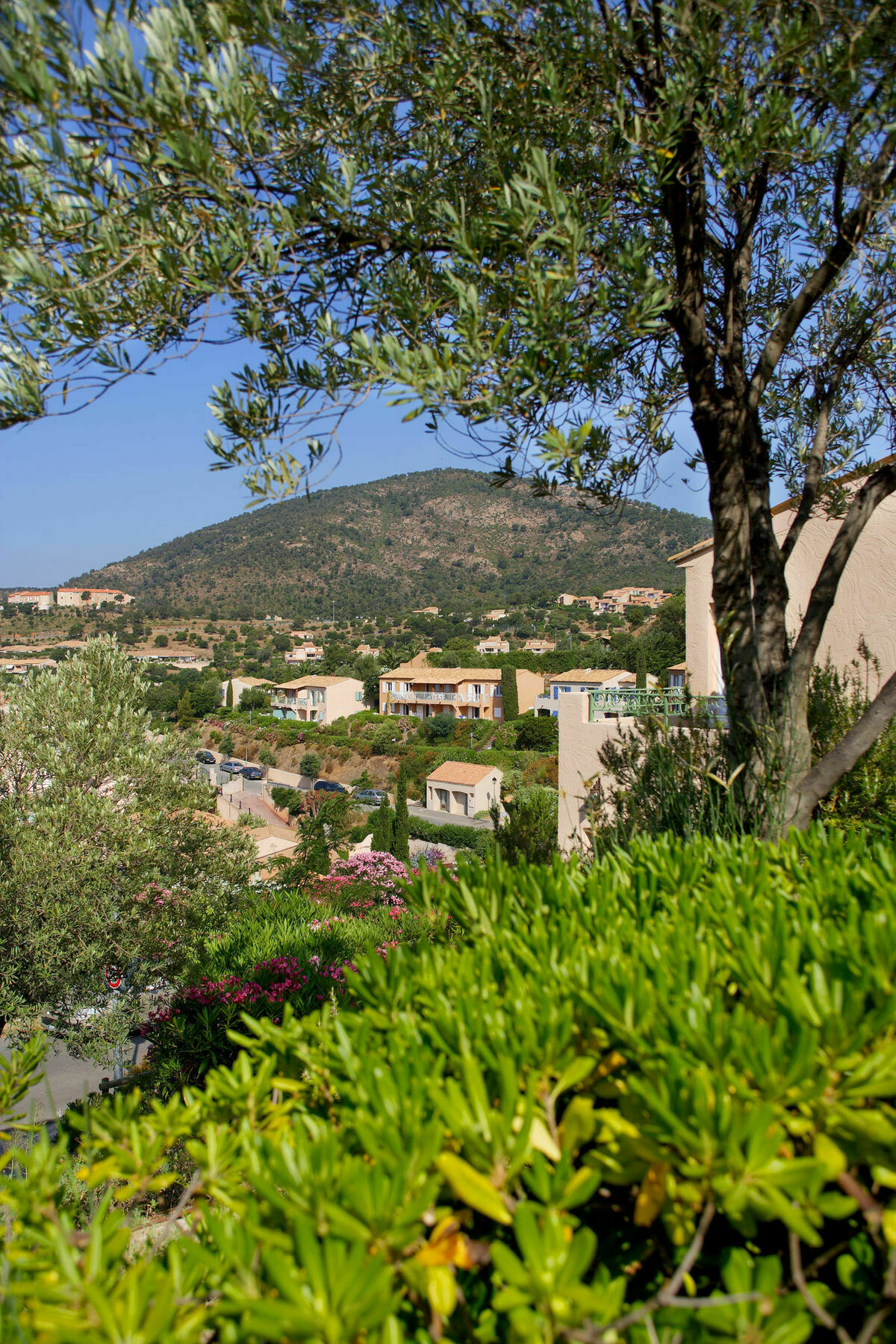 Residence Pierre & Vacances Les Terrasses Des Issambres Les Issambres Exteriör bild